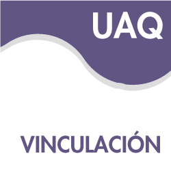 Vinculacion