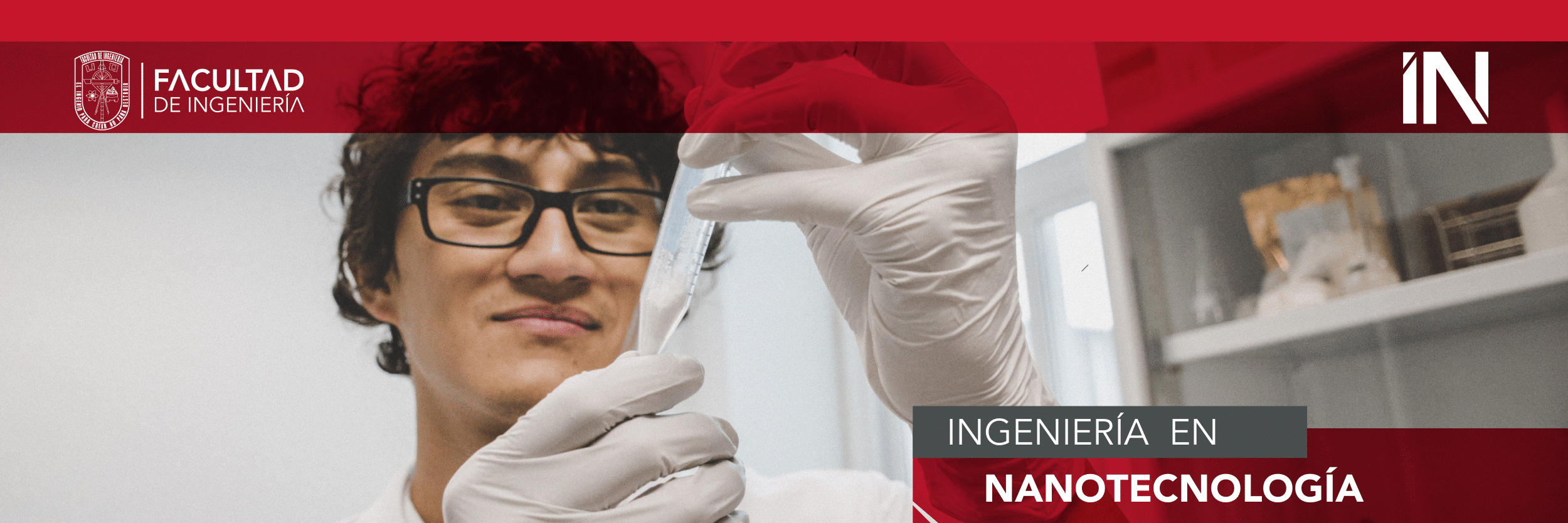 Ingeniería en nanotecnología
