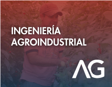 Ing Agroindustrial