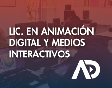 Lic Animación