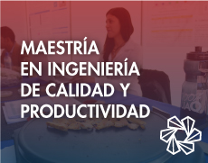 Mtria Ing de Calidad y Productividad