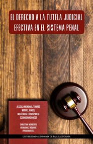 Portada de El derecho a la tutela judicial efectiva en el sistema penal