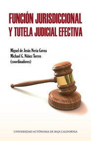 Portada de Función jurisdiccional y tutela judicial efectiva