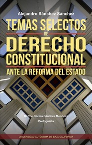 Portada de Temas de derecho constitucional ante la reforma del estado