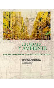 Portada de Ciudad y ambiente. procesos y transformaciones en contextos urbanos 