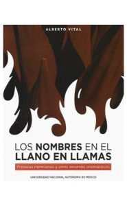 Imagen de la portada de Los Nombres en el Llano en Llamas: Primeras Menciones y Otros Recursos Onomásticos
