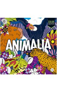 Imagen de Color Block. Animalia