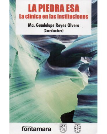 Portada de La piedra Esa. La clínica en las instituciones