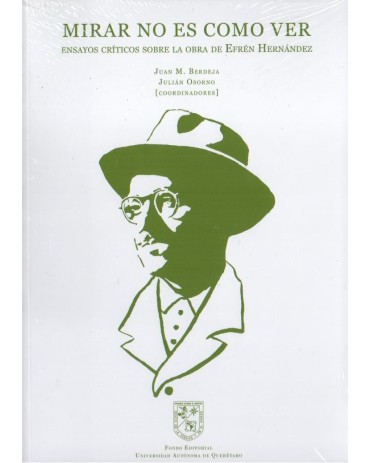 Portad de Mirar no es como ver. Ensayos críticos sobre la obra de Efrén Hernández