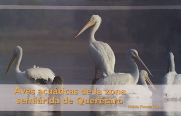 Aves acuáticas de la zona semiárida de Querétaro