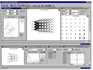 [STATISTICA Neural Networks Example]